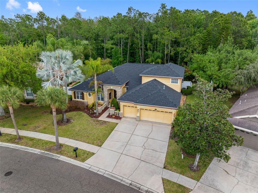 16750 IVY LAKE DRIVE, Odessa, FL 33556