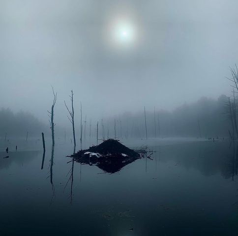 14 Tomasian Drive, Merrimack, NH 03054