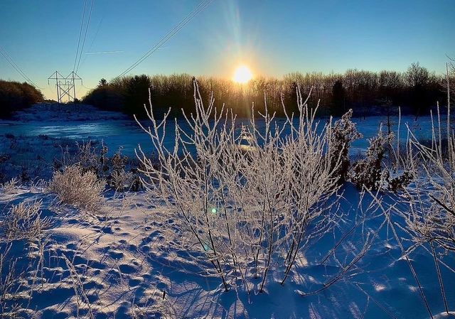 14 Tomasian Drive, Merrimack, NH 03054