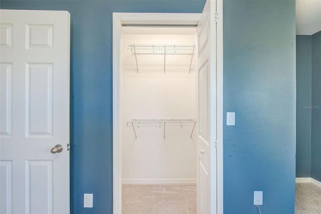 6905 TOWERING SPRUCE DRIVE, Riverview, FL 33578