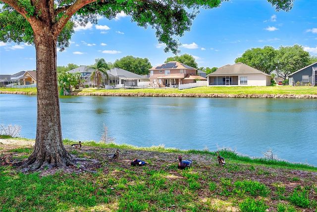 6905 TOWERING SPRUCE DRIVE, Riverview, FL 33578