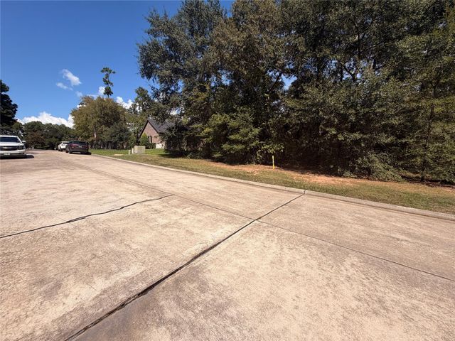 313 Pine Brook Drive, Montgomery, TX 77356