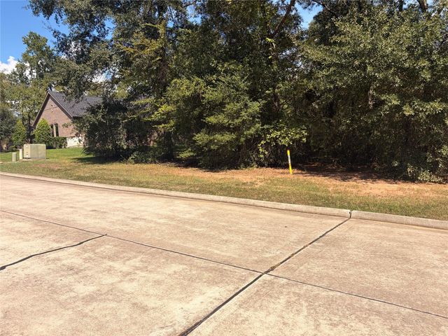 313 Pine Brook Drive, Montgomery, TX 77356