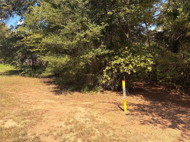 313 Pine Brook Drive, Montgomery, TX 77356