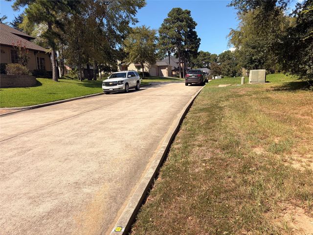 313 Pine Brook Drive, Montgomery, TX 77356