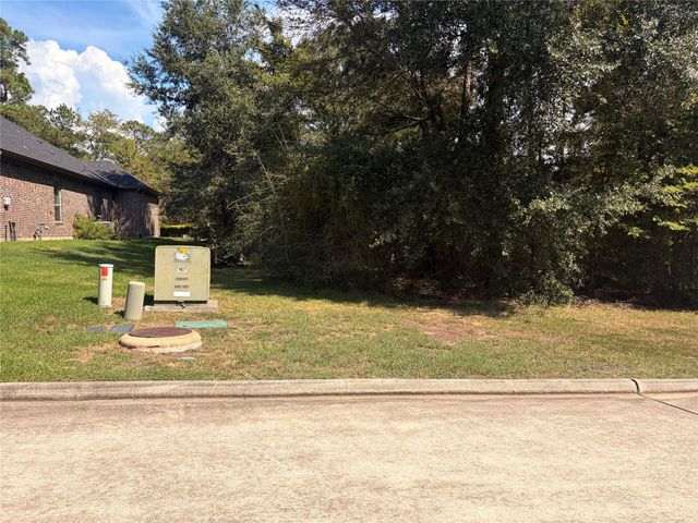 313 Pine Brook Drive, Montgomery, TX 77356