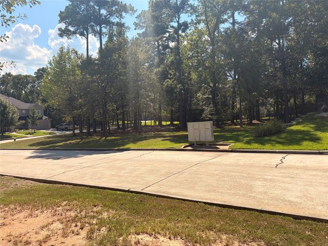 313 Pine Brook Drive, Montgomery, TX 77356