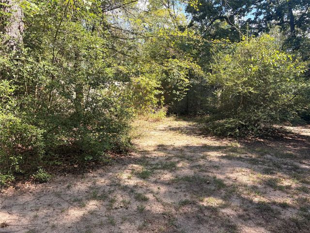 313 Pine Brook Drive, Montgomery, TX 77356