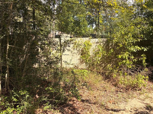 313 Pine Brook Drive, Montgomery, TX 77356
