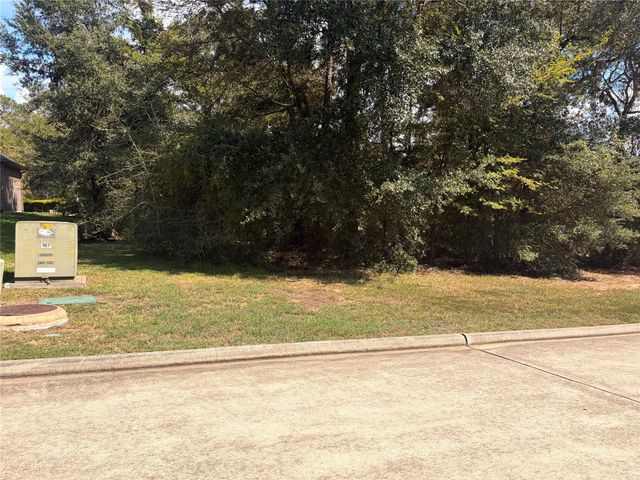 313 Pine Brook Drive, Montgomery, TX 77356