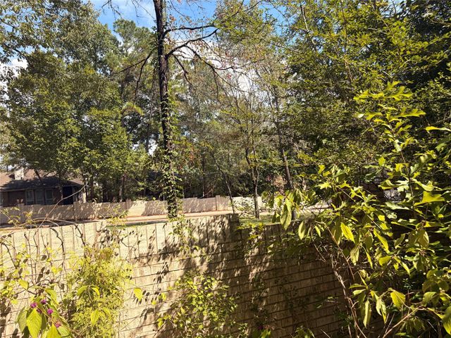 313 Pine Brook Drive, Montgomery, TX 77356