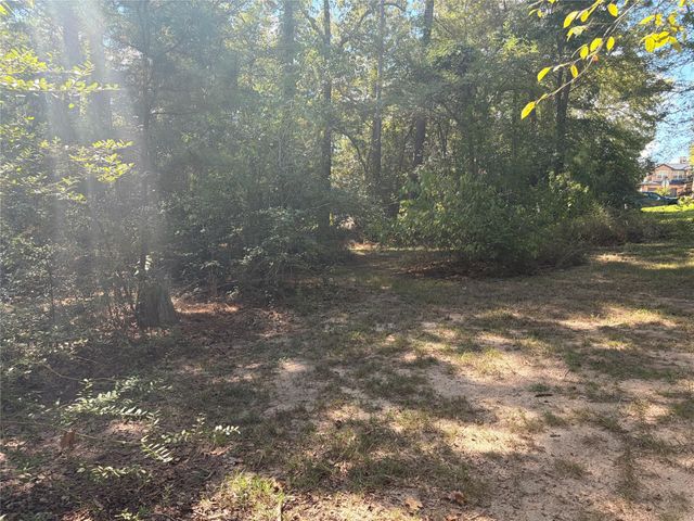 313 Pine Brook Drive, Montgomery, TX 77356