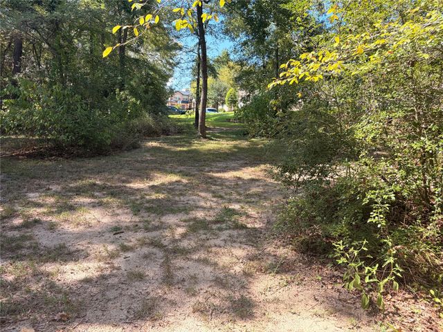 313 Pine Brook Drive, Montgomery, TX 77356