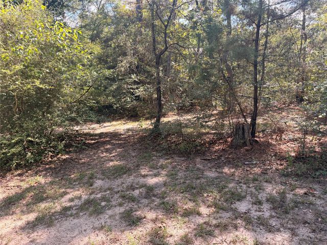 313 Pine Brook Drive, Montgomery, TX 77356