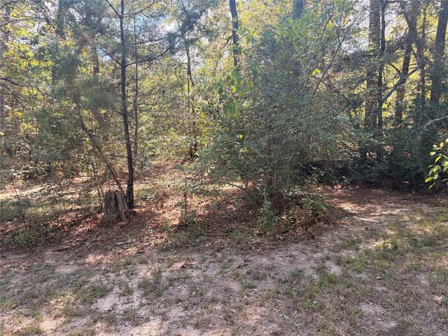 313 Pine Brook Drive, Montgomery, TX 77356