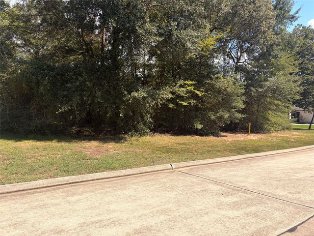313 Pine Brook Drive, Montgomery, TX 77356