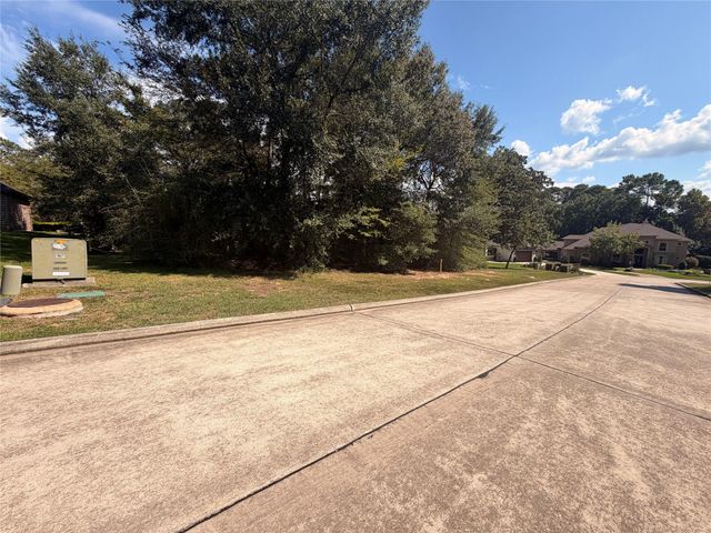 313 Pine Brook Drive, Montgomery, TX 77356