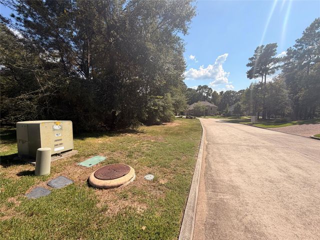 313 Pine Brook Drive, Montgomery, TX 77356