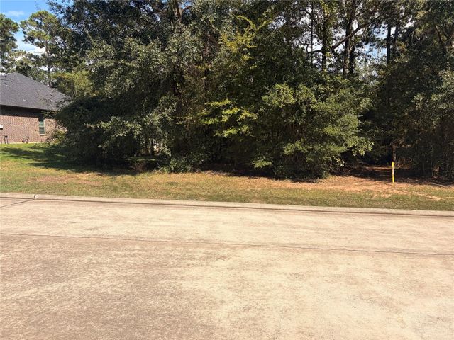 313 Pine Brook Drive, Montgomery, TX 77356