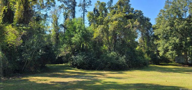 10944 Monroe Perkins Rd, Denham Springs, LA 70726