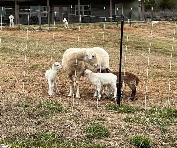 665 Oconee Creek Road, Walhalla, SC 29691