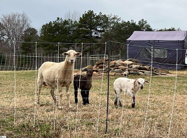 665 Oconee Creek Road, Walhalla, SC 29691