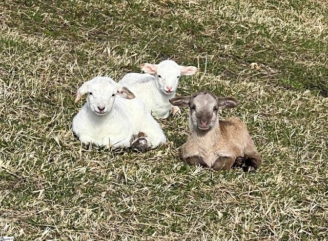 665 Oconee Creek Road, Walhalla, SC 29691