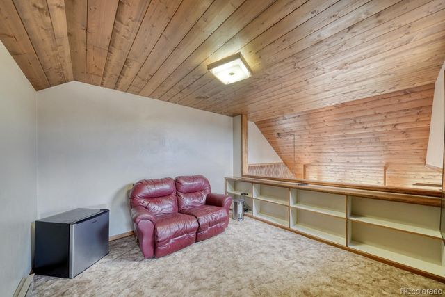 37811 Twin Kopie Road, Buena Vista, CO 81211