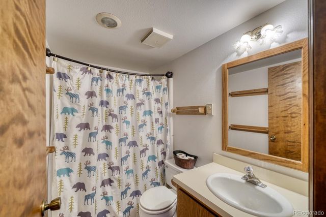37811 Twin Kopie Road, Buena Vista, CO 81211