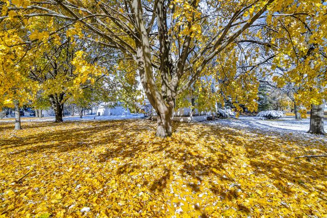 902 Fleming Avenue, Jackson, MI 49202