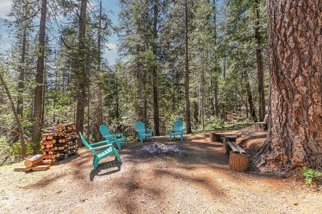 26670 Columbia Dr, Pioneer, CA 95666