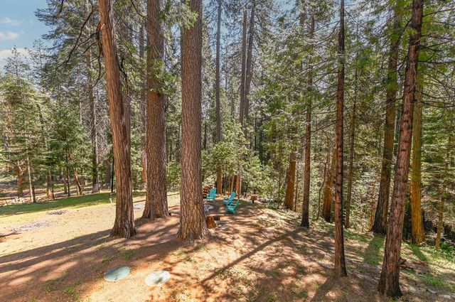 26670 Columbia Dr, Pioneer, CA 95666