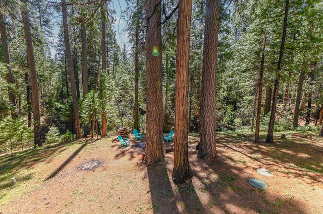 26670 Columbia Dr, Pioneer, CA 95666