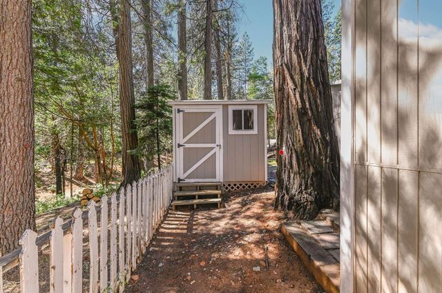 26670 Columbia Dr, Pioneer, CA 95666