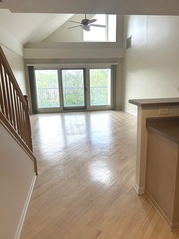 1111 Burlington Avenue 419, Lisle, IL 60532