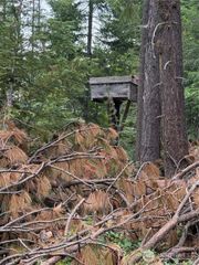 750 Tall Pines Drive #2 of 2, Cle Elum, WA 98992