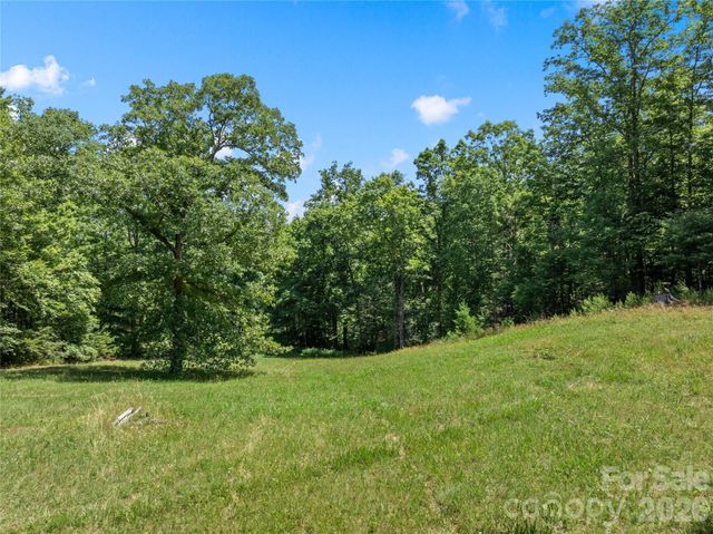 563 Burgess Road, Mill Spring, NC 28756