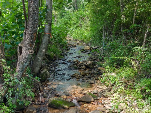 563 Burgess Road, Mill Spring, NC 28756