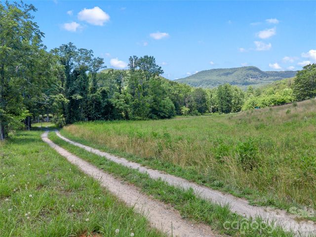 563 Burgess Road, Mill Spring, NC 28756