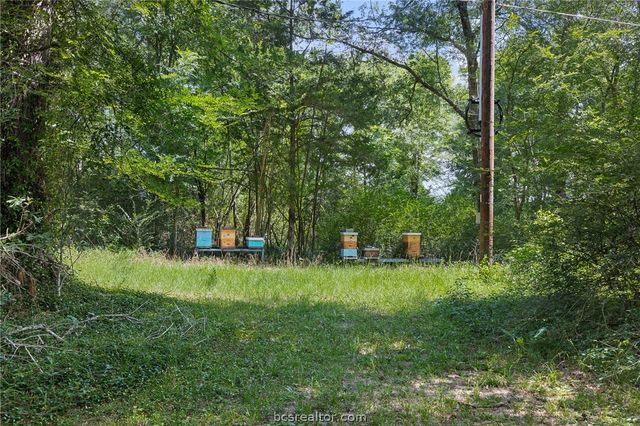 5092 Old Wagon Lane, Richards, TX 77873