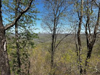 0 Gap Road, Altamont, TN 37301