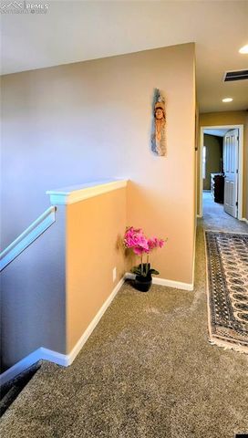 7094 Red Sand Grove, Colorado Springs, CO 80923