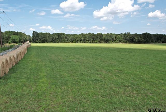 Lot 4 VZ CR 3208, Wills Point, TX 75169