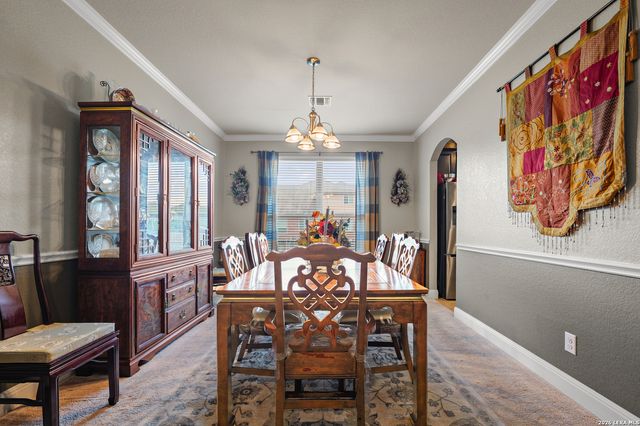 905 Alpino, Cibolo, TX 78108
