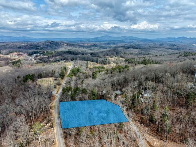 99 Highland Circle, Blue Ridge, GA 30513