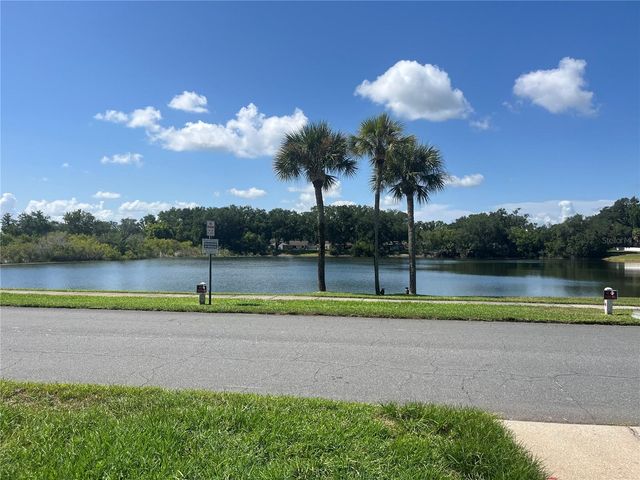 3101 VILLAGE LANE, Mount Dora, FL 32757