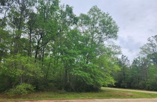 TBD Cloverdale, Livingston, TX 77351