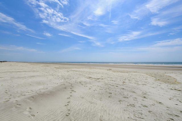 7322 Indigo Palms Way, Johns Island, SC 29455