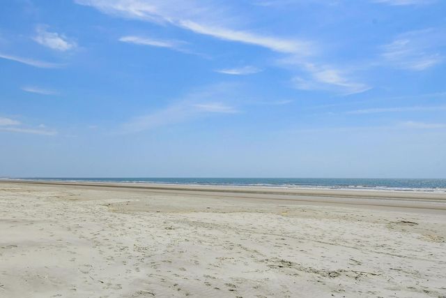 7322 Indigo Palms Way, Johns Island, SC 29455