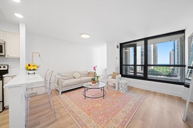 1030 N State Street 3G, Chicago, IL 60610